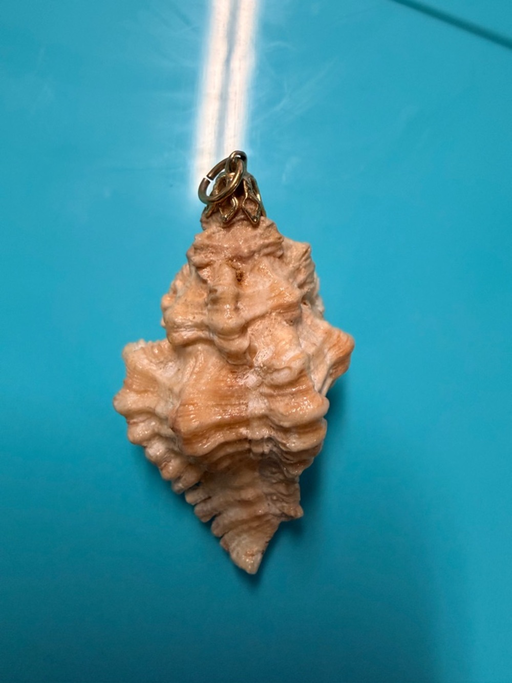 Natural Shell Pendant in Cream and Tan with Gold Bail